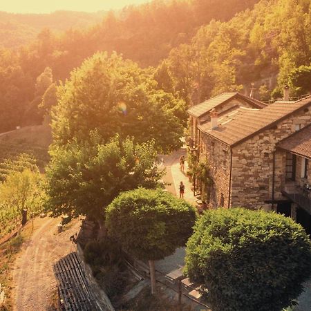Cascina Bertolotto Wine Resort Spigno Monferrato Eksteriør billede