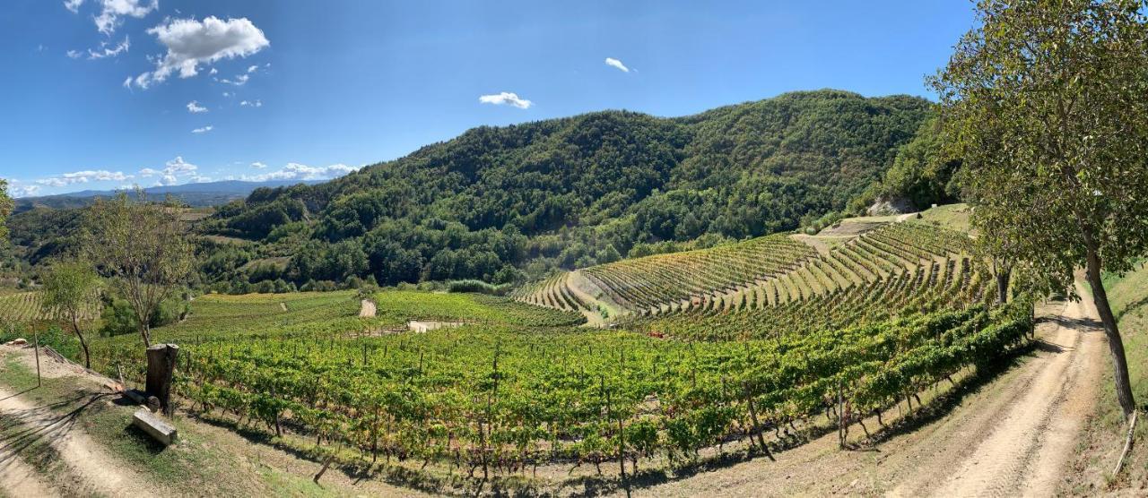 Cascina Bertolotto Wine Resort Spigno Monferrato Eksteriør billede
