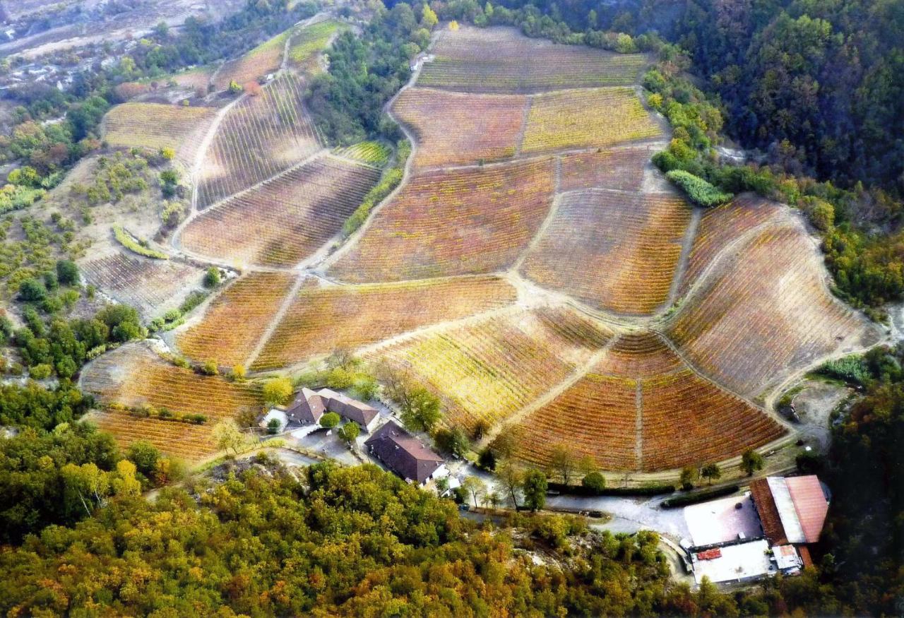 Cascina Bertolotto Wine Resort Spigno Monferrato Eksteriør billede