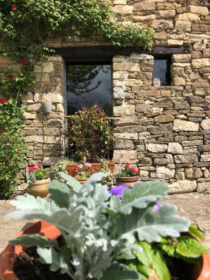 Cascina Bertolotto Wine Resort Spigno Monferrato Eksteriør billede