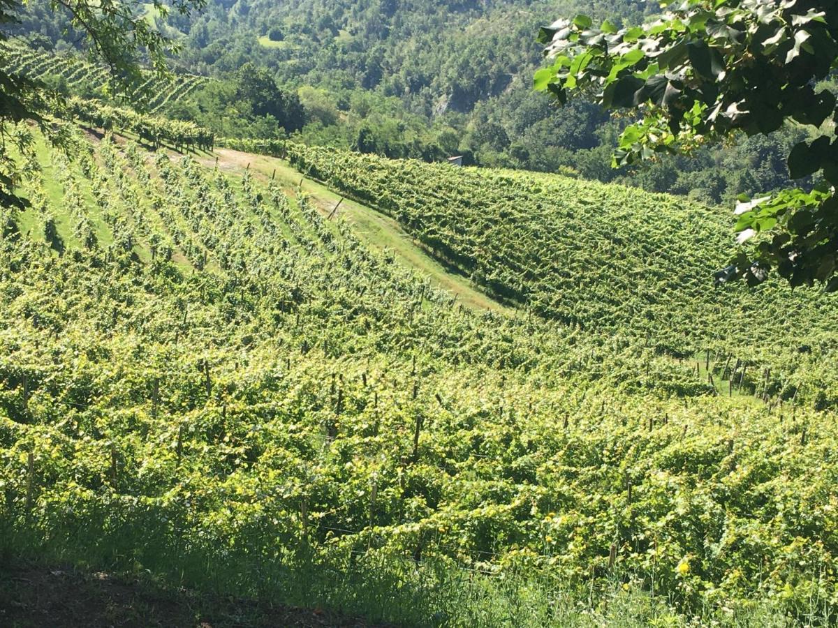 Cascina Bertolotto Wine Resort Spigno Monferrato Eksteriør billede