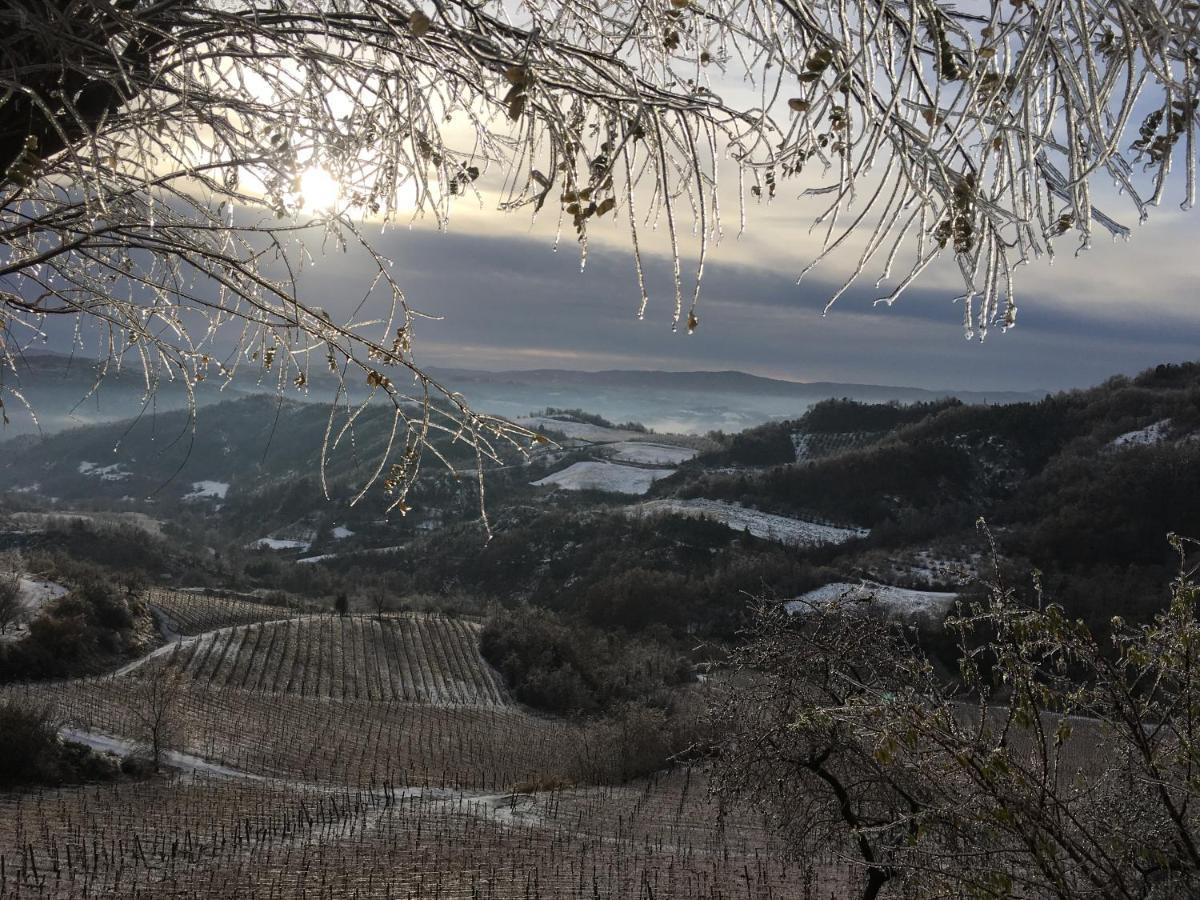 Cascina Bertolotto Wine Resort Spigno Monferrato Eksteriør billede