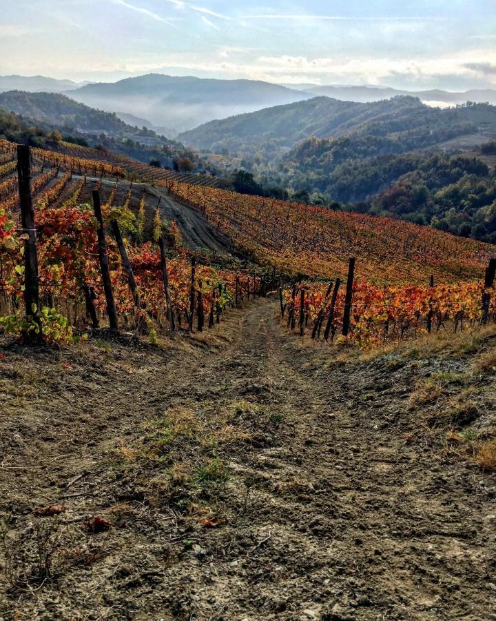Cascina Bertolotto Wine Resort Spigno Monferrato Eksteriør billede