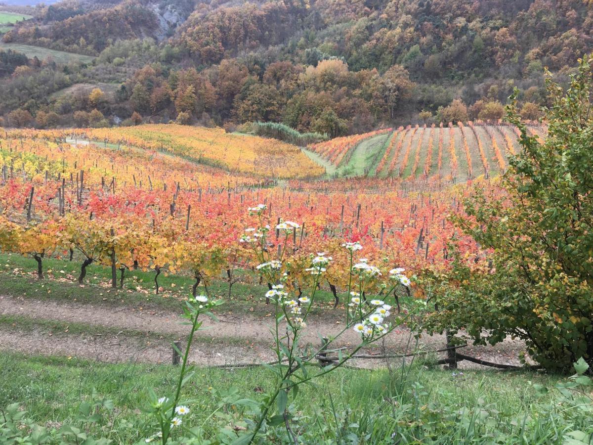 Cascina Bertolotto Wine Resort Spigno Monferrato Eksteriør billede