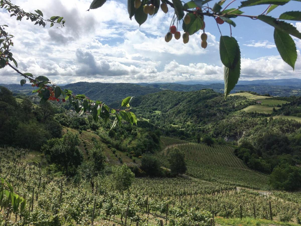 Cascina Bertolotto Wine Resort Spigno Monferrato Eksteriør billede