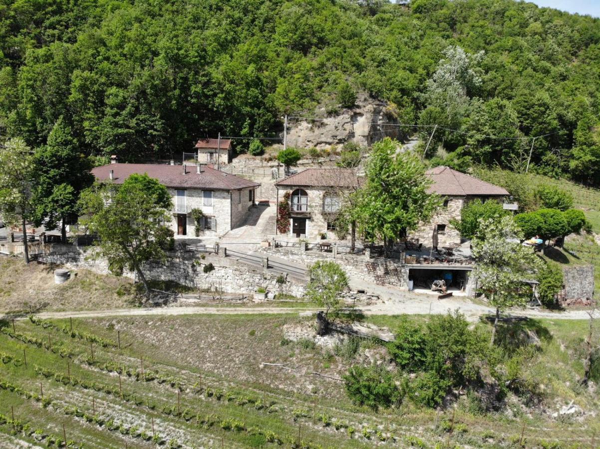 Cascina Bertolotto Wine Resort Spigno Monferrato Eksteriør billede