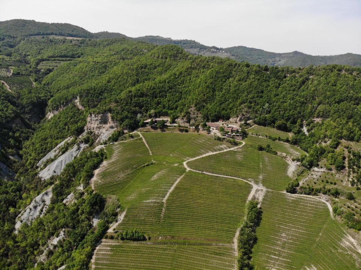 Cascina Bertolotto Wine Resort Spigno Monferrato Eksteriør billede
