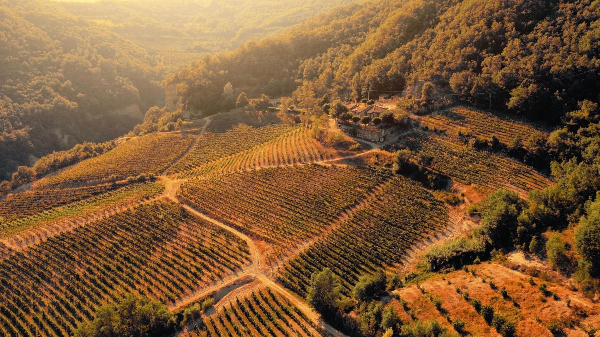 Cascina Bertolotto Wine Resort Spigno Monferrato Eksteriør billede
